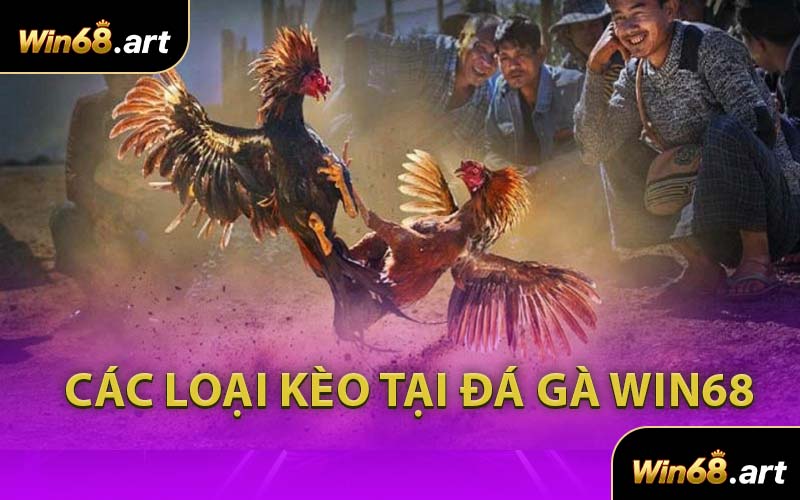 Các Loại Kèo Tại Đá Gà WIN68