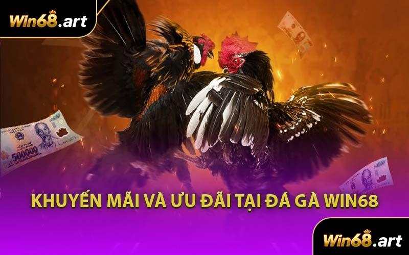 Khuyến Mãi Và Ưu Đãi Tại Đá Gà WIN68