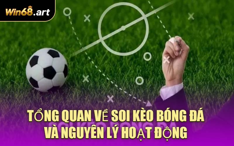 Tổng quan về soi kèo bóng đá và nguyên lý hoạt động